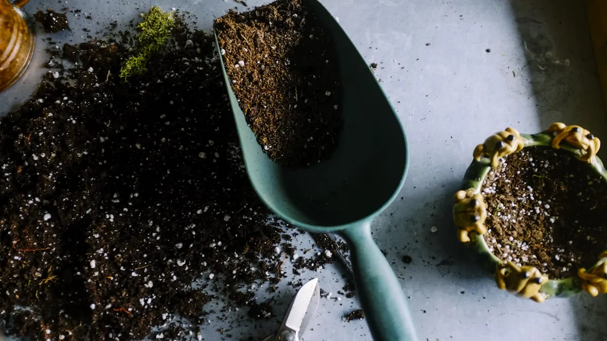 Hands tending green plants in a garden bed