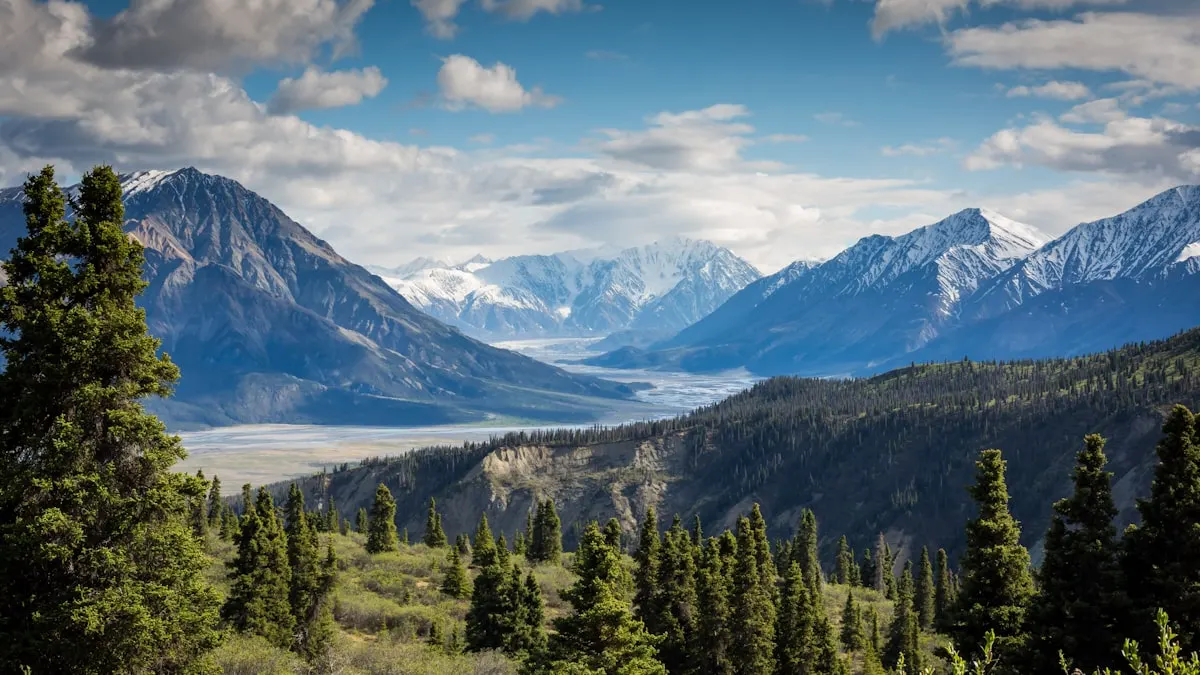 Mountain trail with evergreen forest and peaks